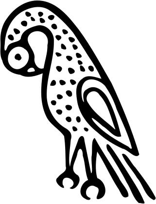 Bird sketch