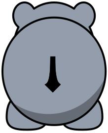 Hippo's behind