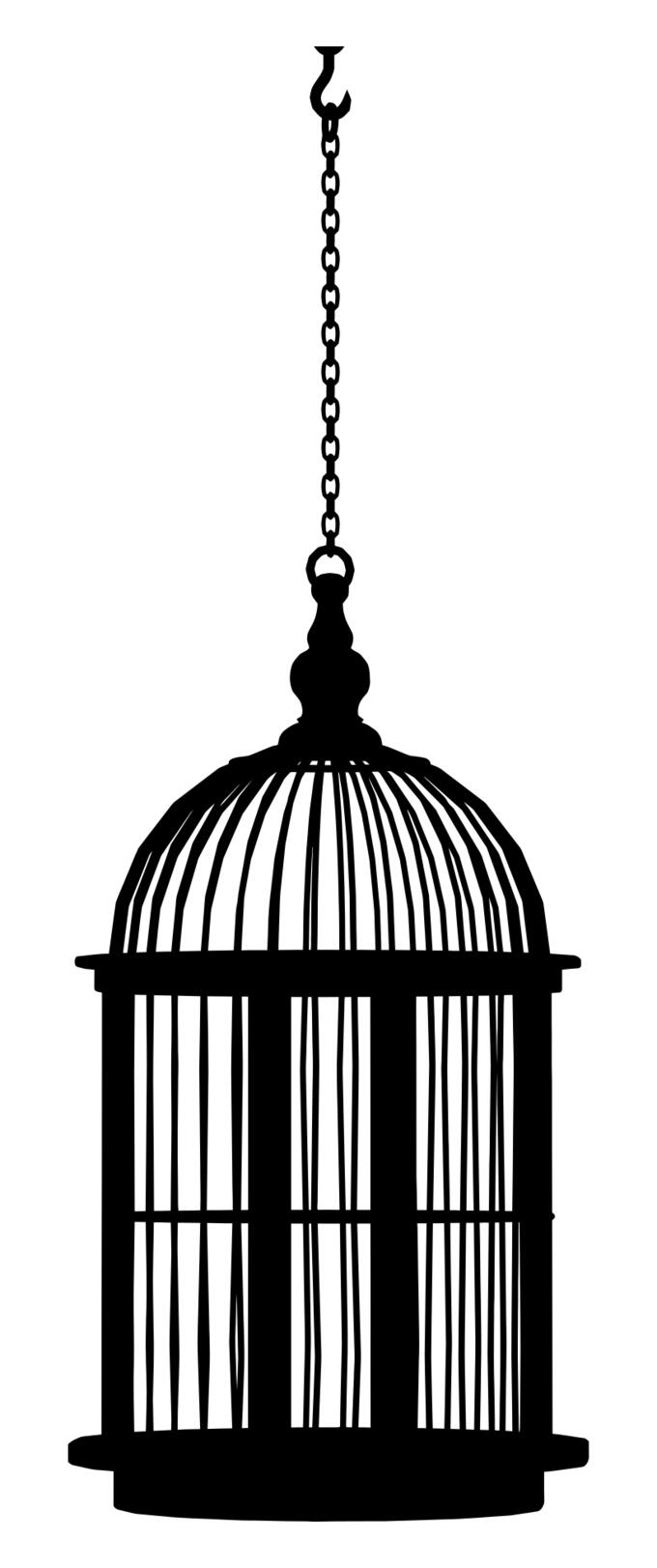 Bird cage silhouette
