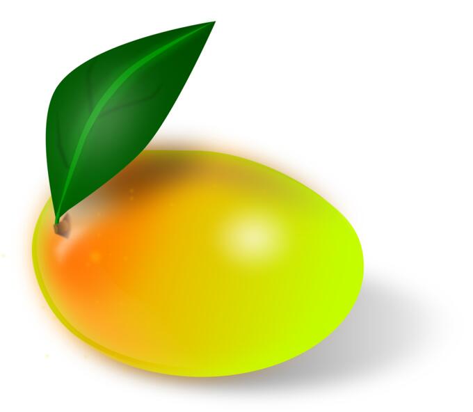 Mango fruit