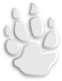 Animal footprint 2