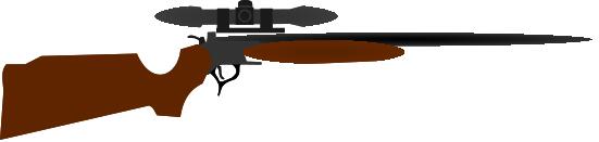Hunting gun