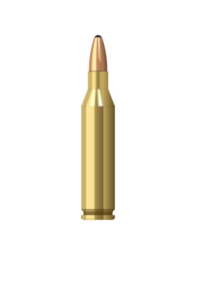 Bullet