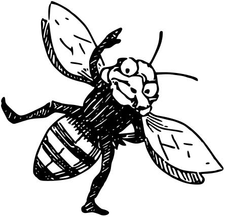 Funny bug