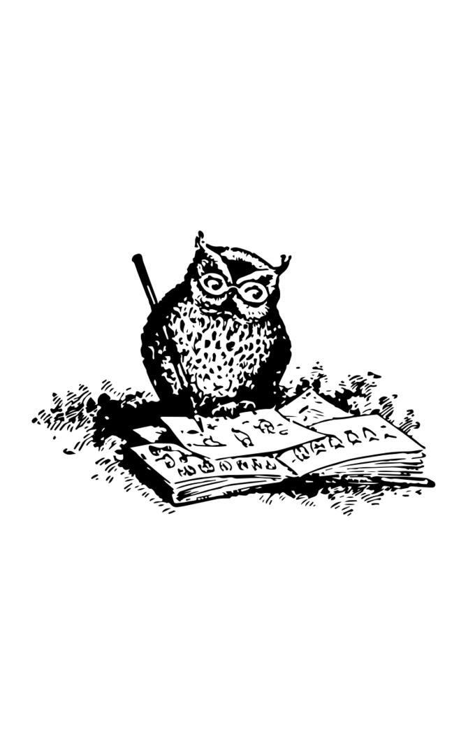 Owl illustrating