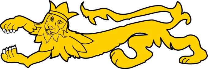 Yellow long lion