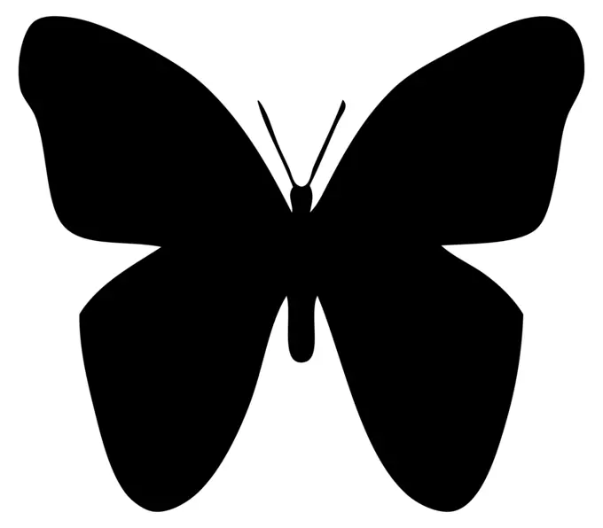 Butterfly silhouette