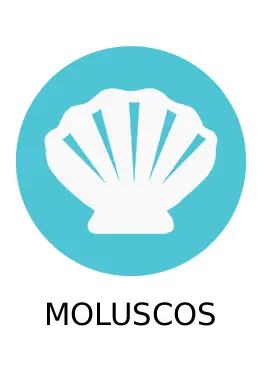 Mollusks