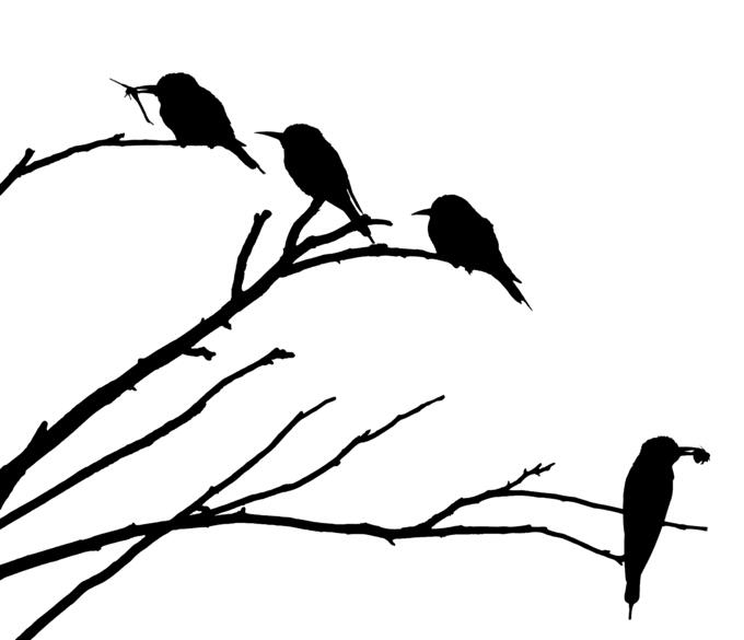 European Bee Eaters Silhouette