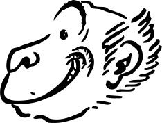 Monkey profile