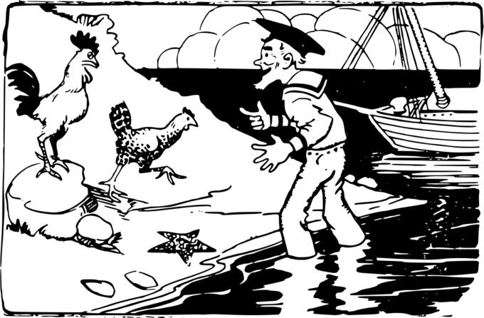 Sailor and chickens