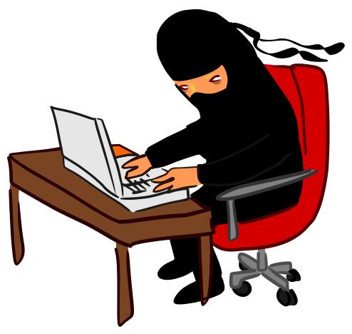 Ninja hacking computer