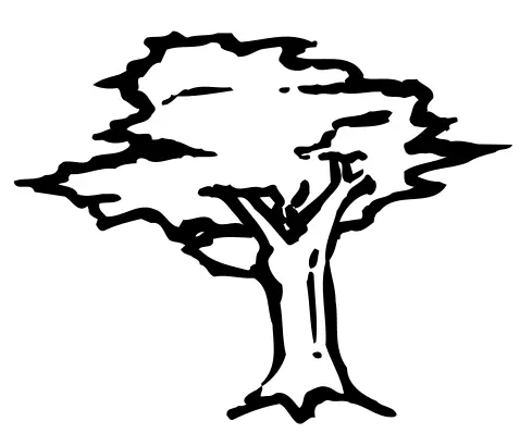 Tree sketch