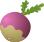 Turnip