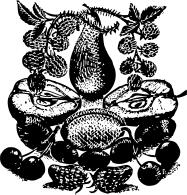 Fruit silhouette