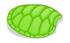 Turtle hoof