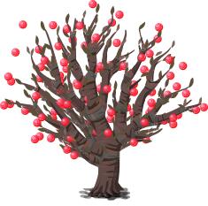 Tree and fruit