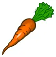 Orange carrot