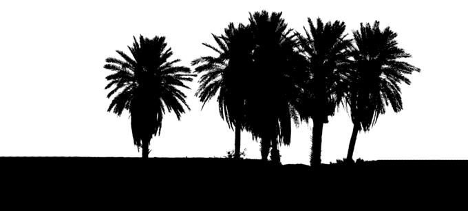 Six palms
