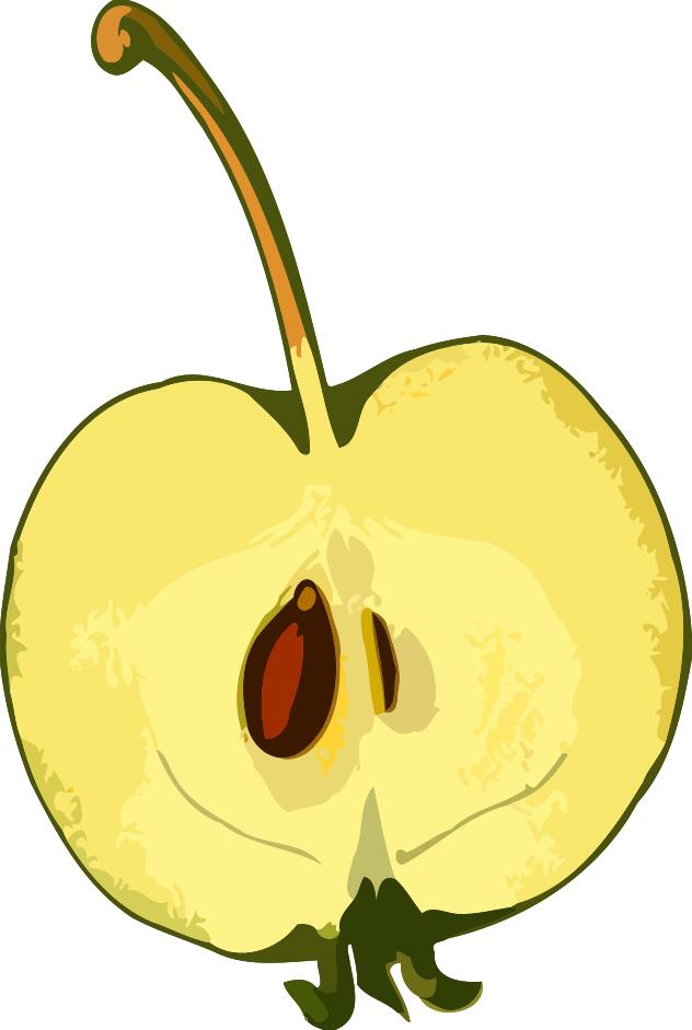 Seed and apple