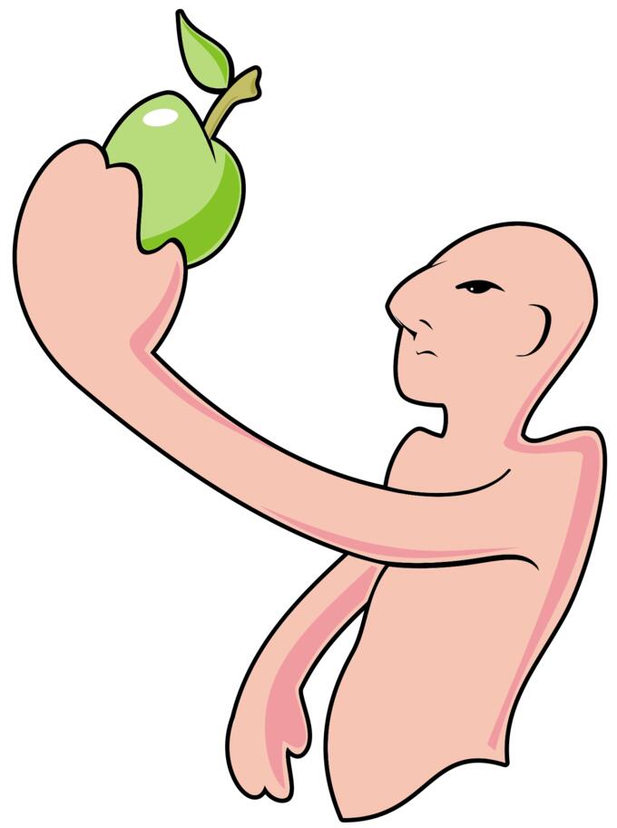 Man and apple