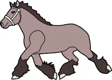 Pony