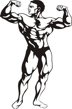 Muscular man
