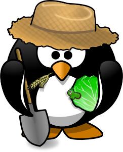 Farmer penguin
