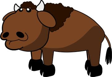 Wild bison