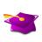 Purple academic har