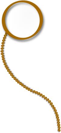 A monocle