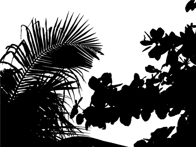 Vegetation silhouette