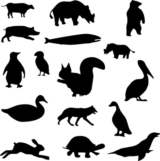 Animal silhouettes