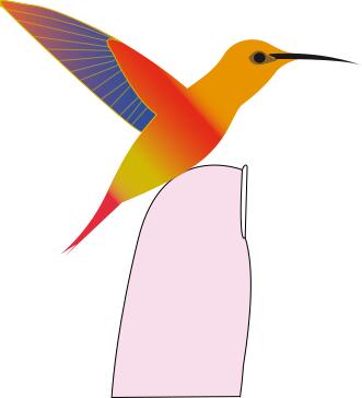 Hummingbird
