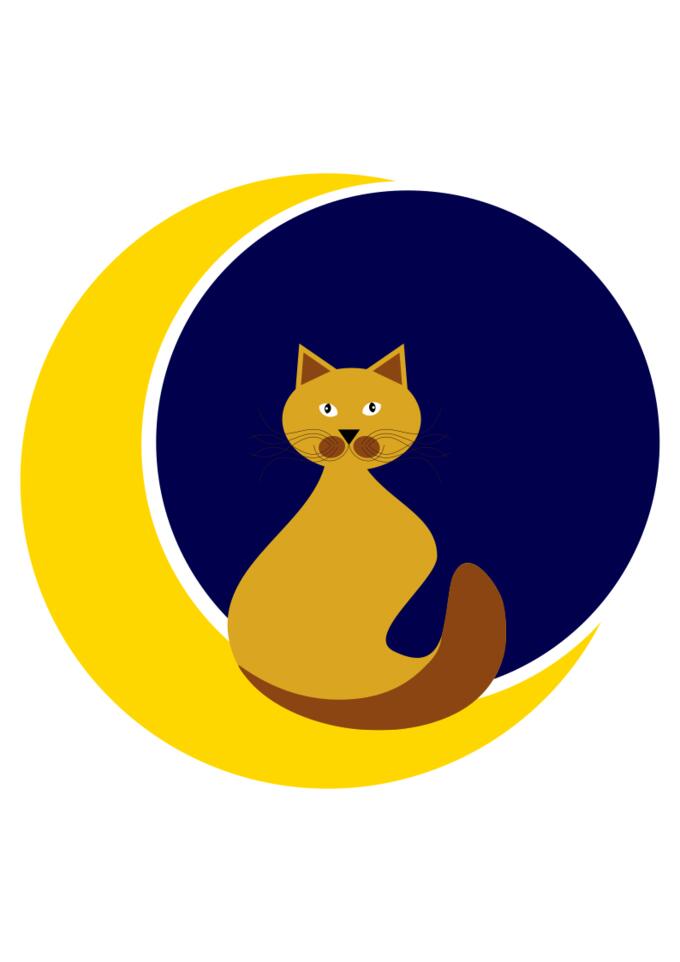 Cat on the Moon