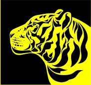 Yellow tiger