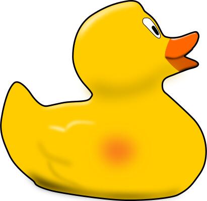 Rubber duck