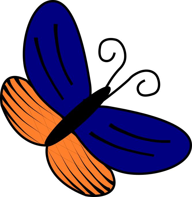 Blue and orange butterfly