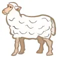 Cartoon sheep