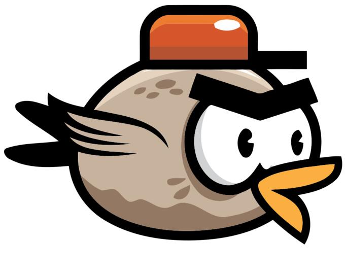 Mad bird