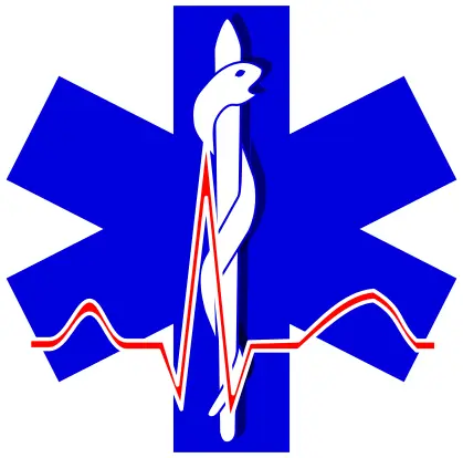 Vector of paramedic cross