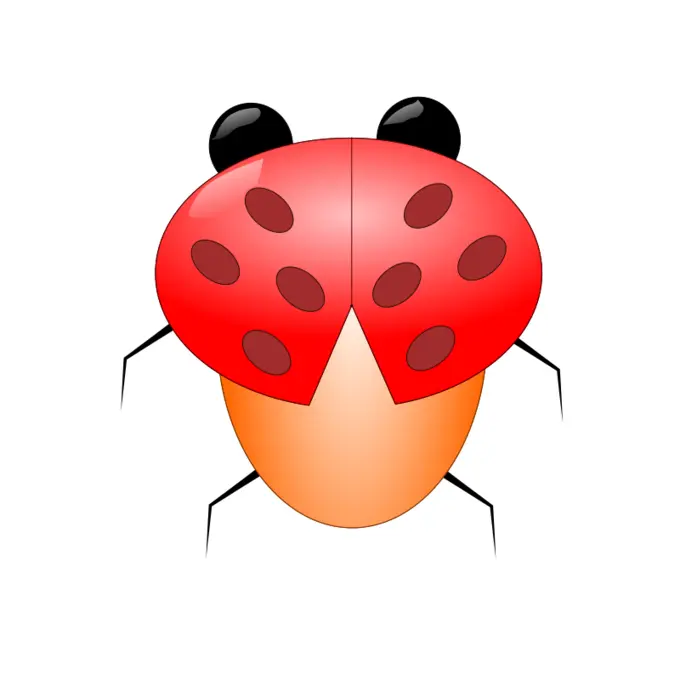 Large lady beetle