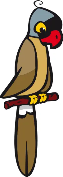 Mascarin parrot vector image
