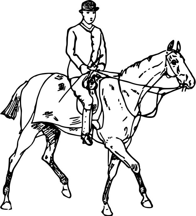 Drawing of a horse and a rider