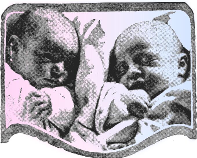 Cute Babies Vector Image