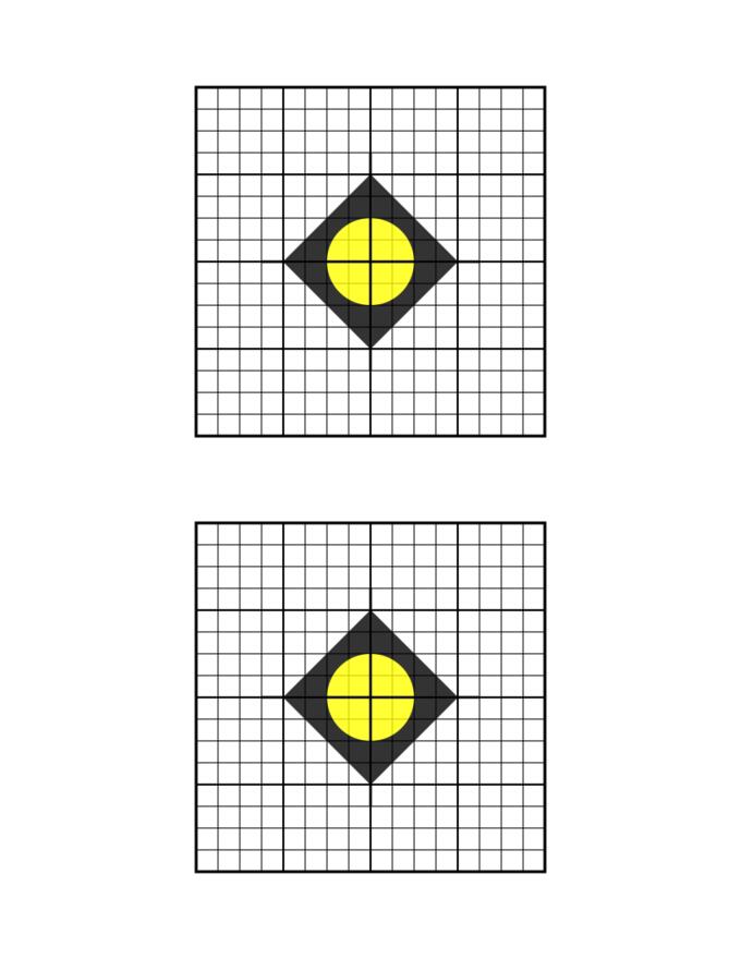 Target for sighting in a rifle