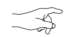 Index finger