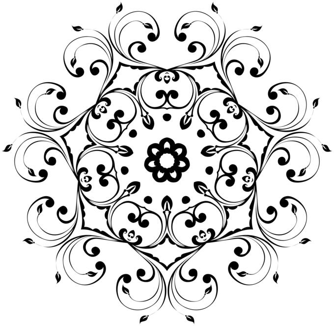 Vector illustration of floral design with curly petals.