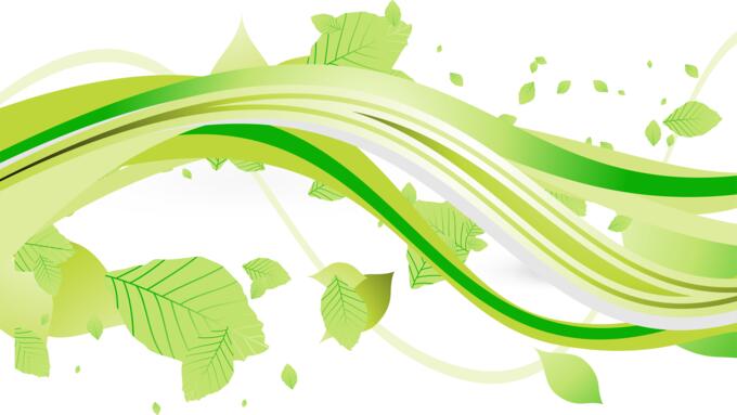 Drawing of plant with green leaves