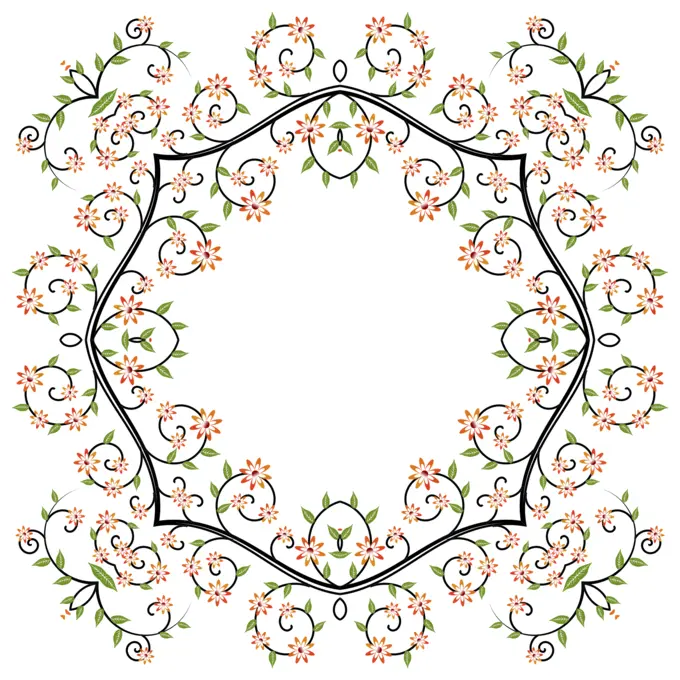 Image of posh floral patterned frame